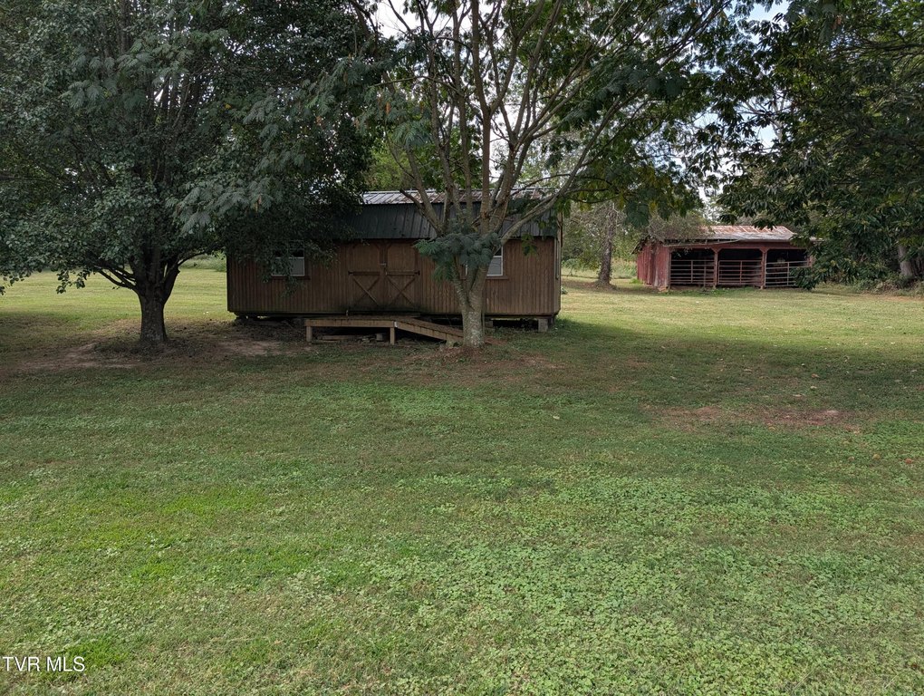 Picture 7