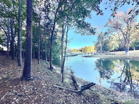 Waterfront Acreage on Lake Wylie