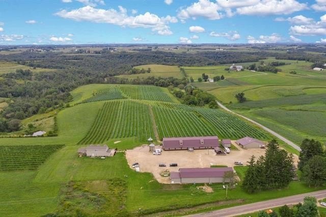 Vineyard, Winery & Party Barn