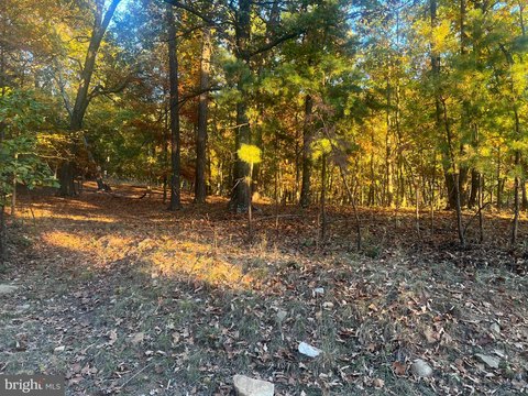 Land, GREAT CACAPON, WV
