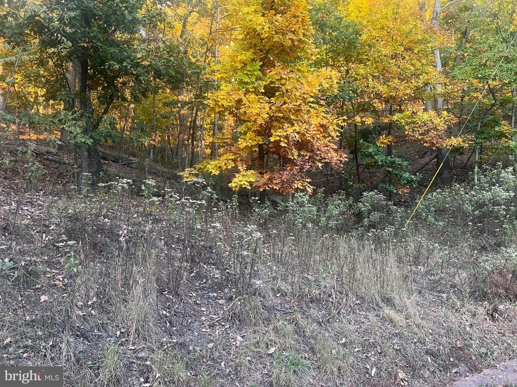 Picture 14