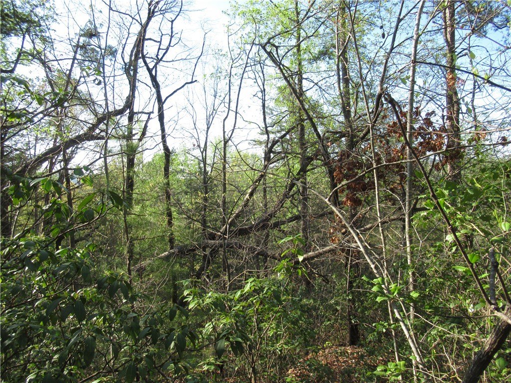 Picture 22