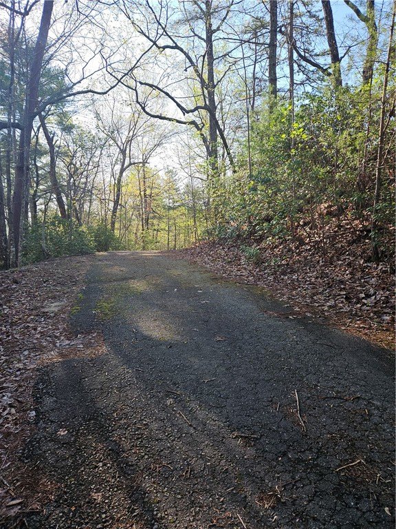 Picture 13