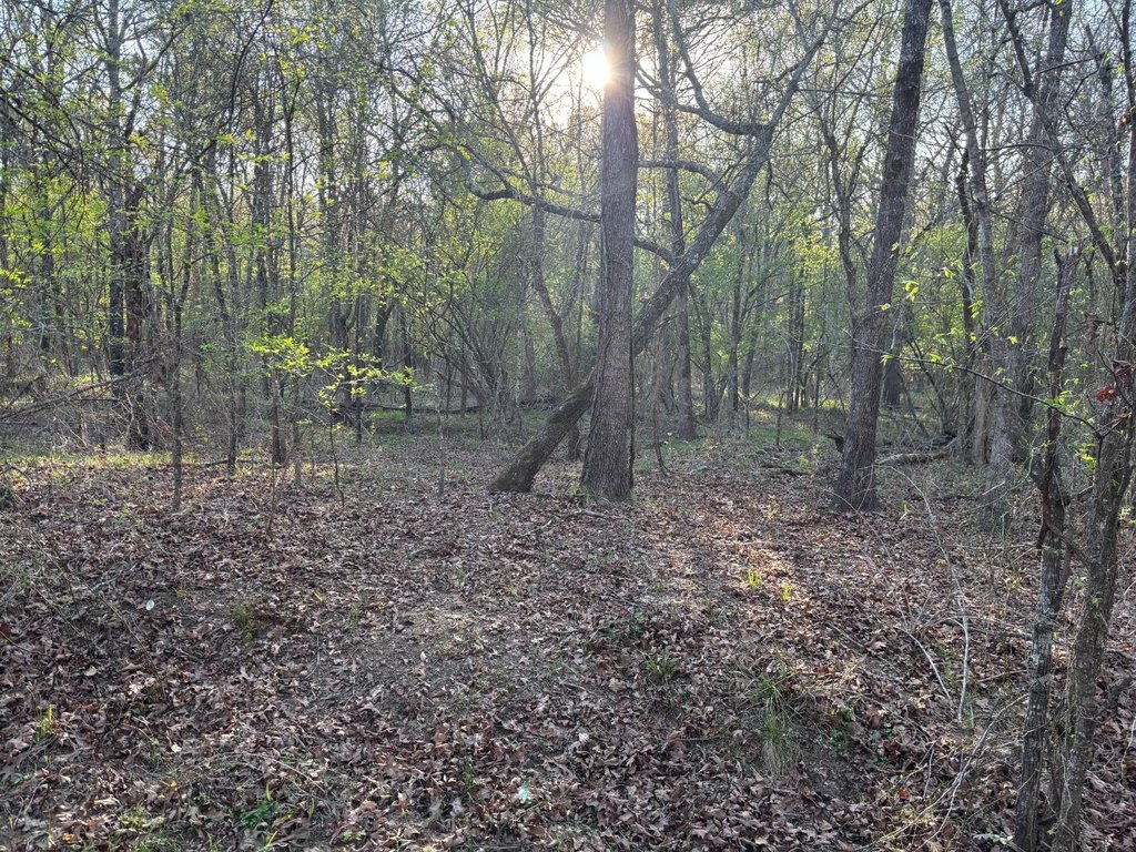 Picture 9