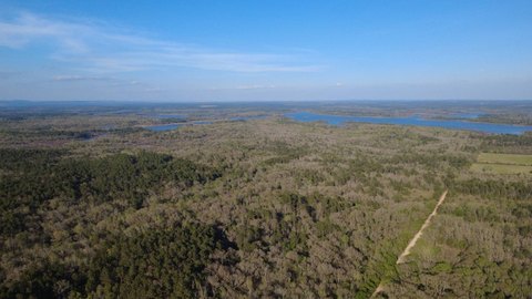 Wooded Hunting and Recreation Tract