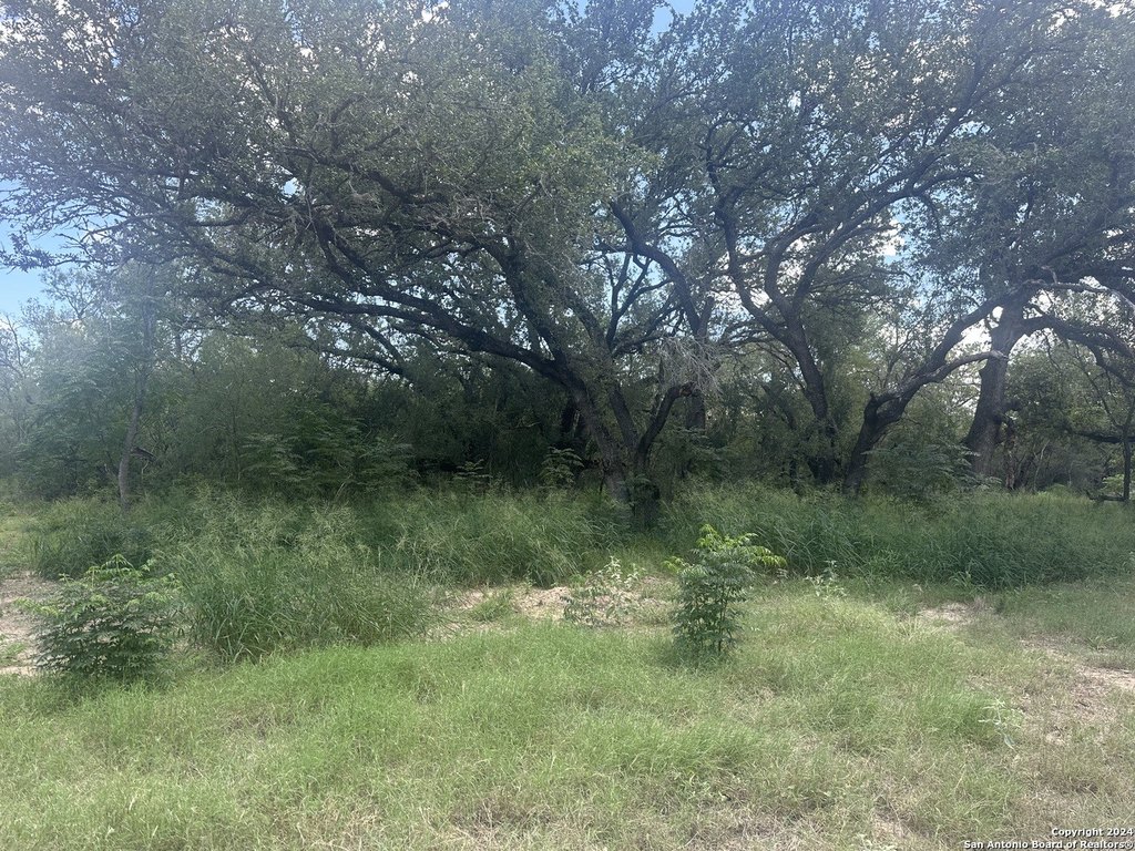 Picture 3