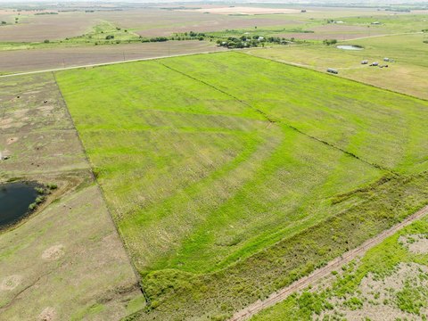 Land, Penelope, TX
