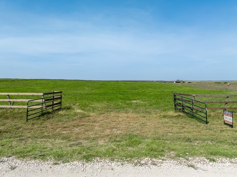LAND - Other - Penelope, TX