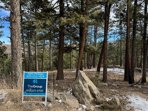 Bellvue Land with Mountain Views