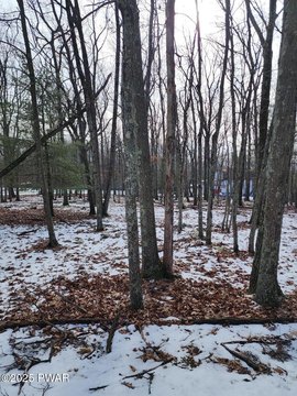 Residential Land Near Lake Wallenpaupack