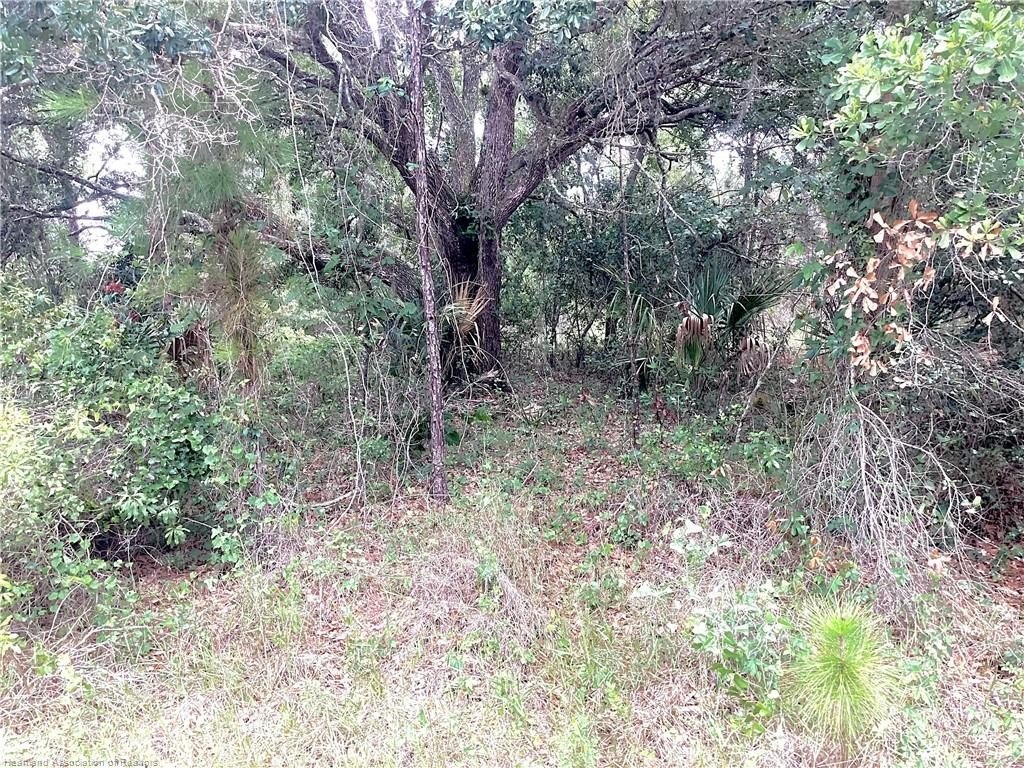Picture 3
