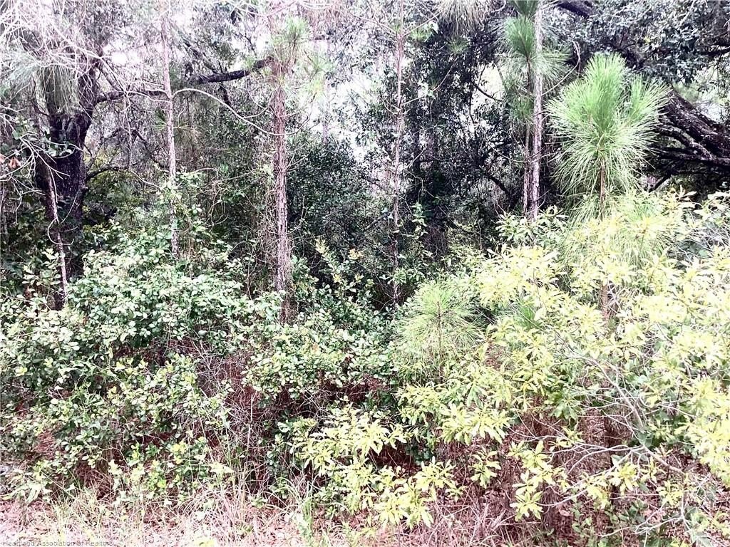 Picture 4