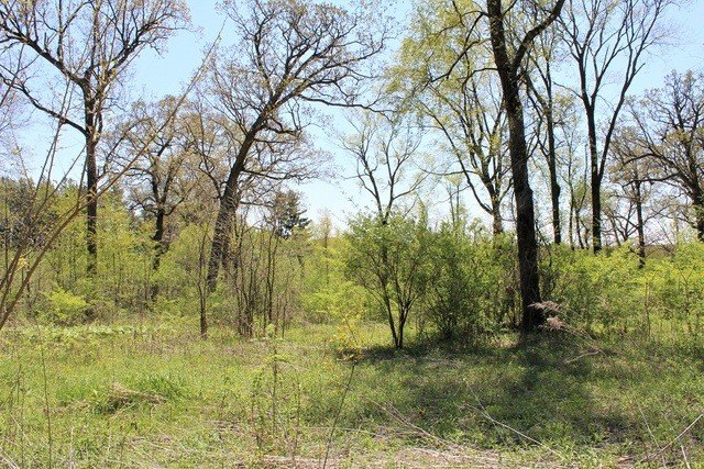 Residential Lot in Established Subdivision