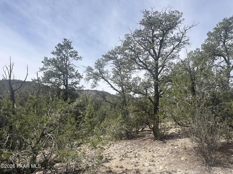 Land, Seligman, AZ