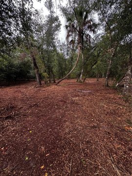 Residential Lot in Port Charlotte