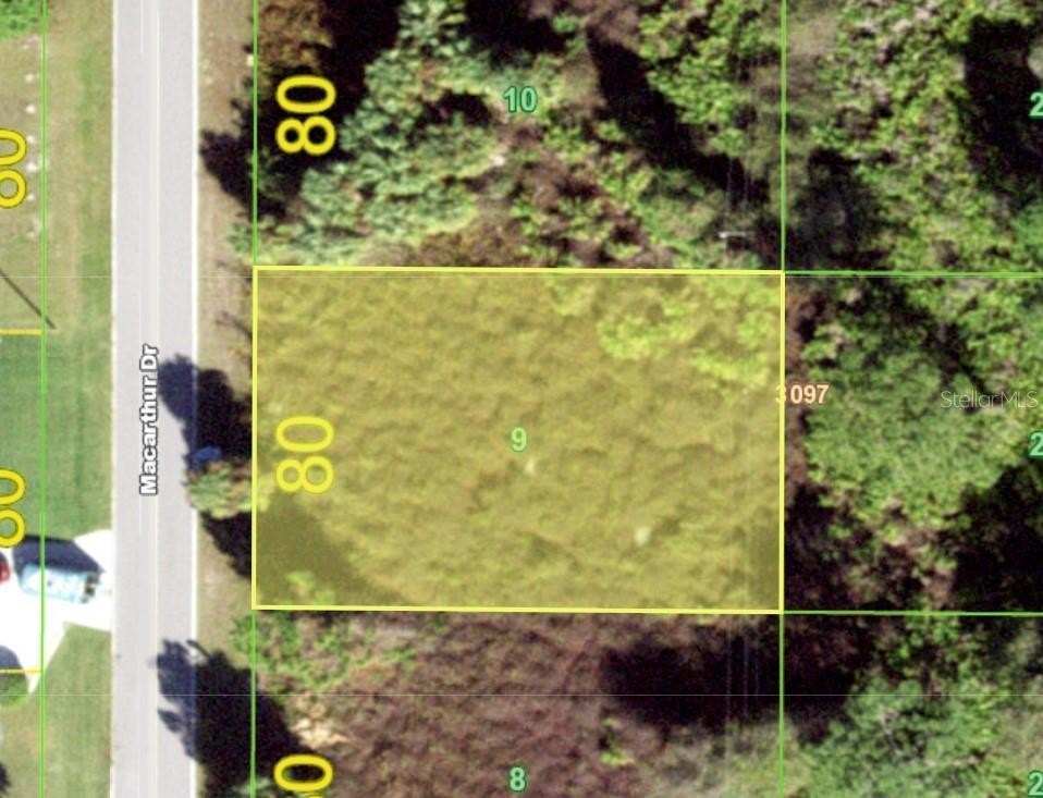Picture 3