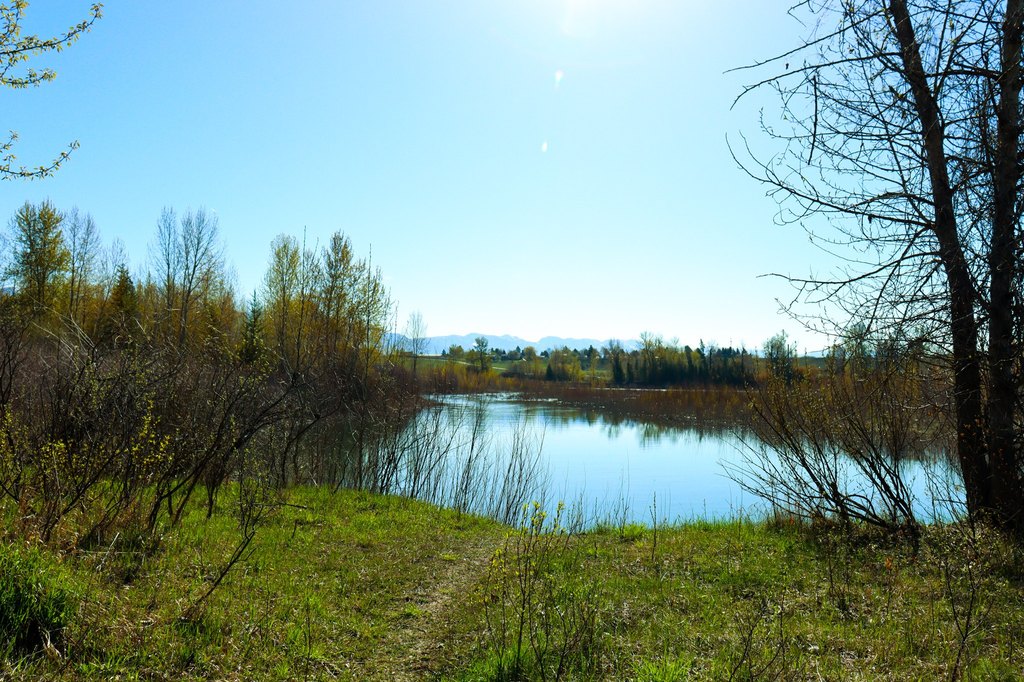 Picture 16