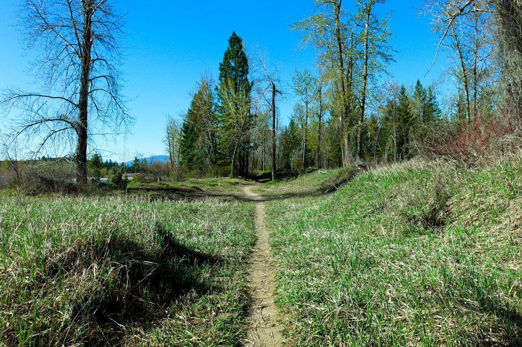 Picture 19