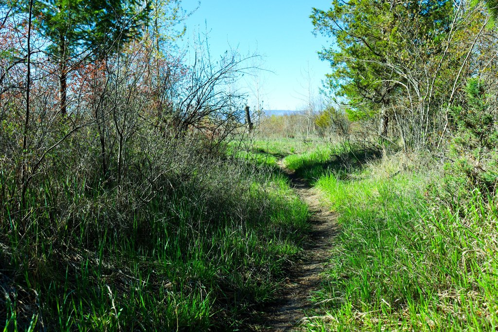 Picture 15