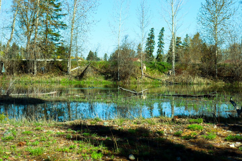 Picture 20