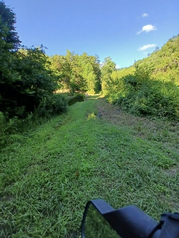 Picture 3