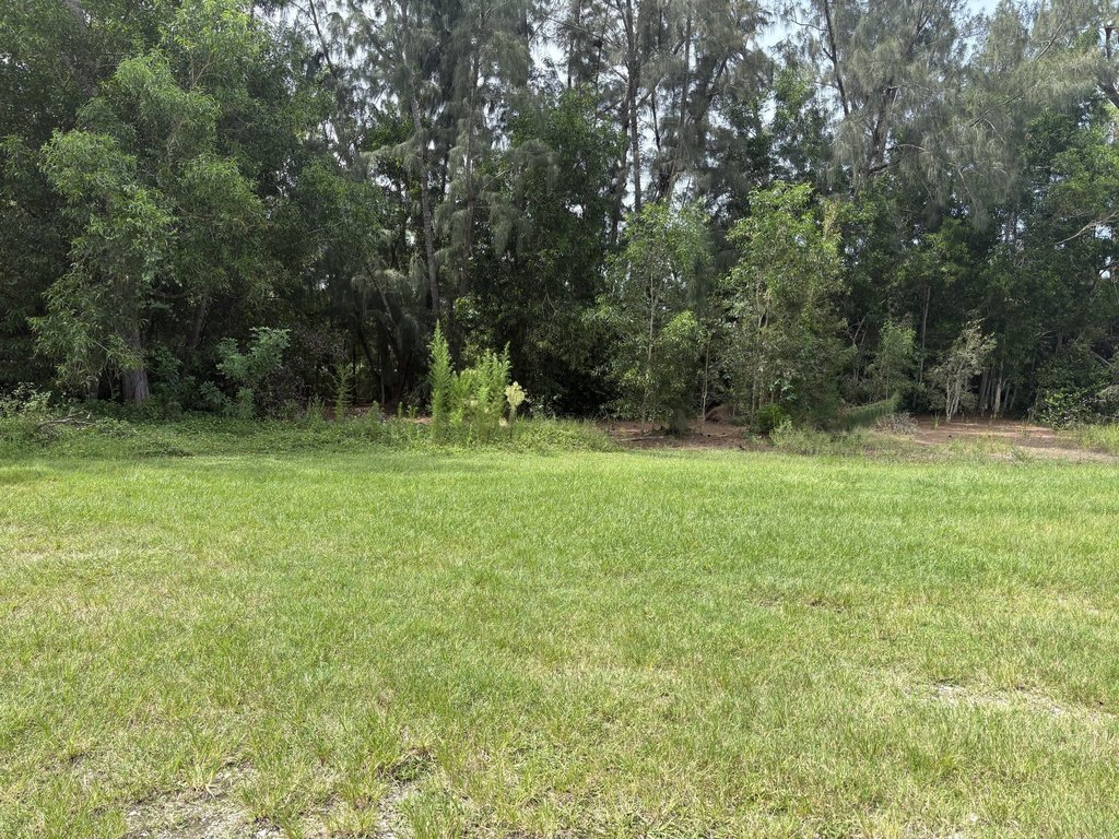 Picture 2