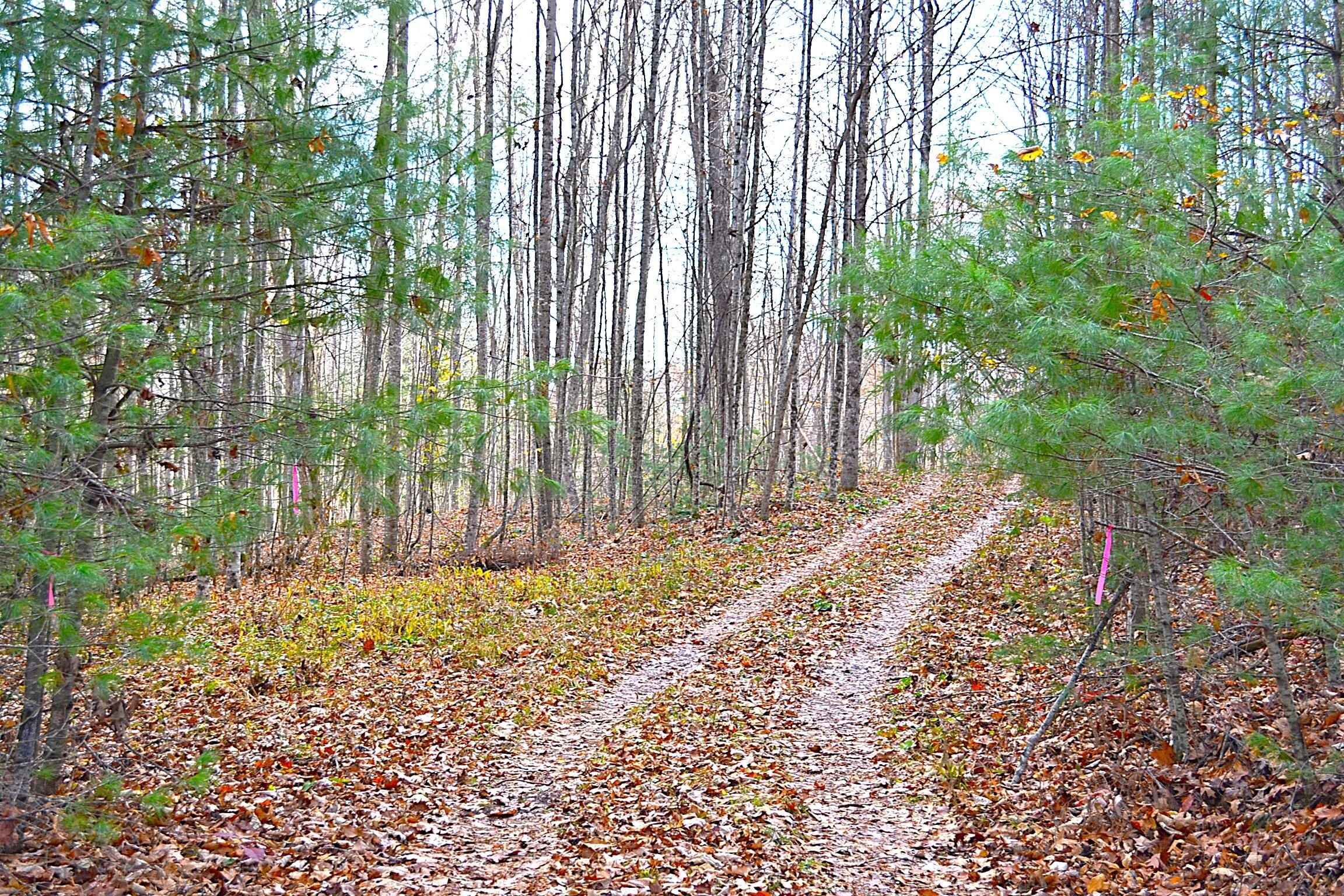 93 Acres Untouched Paradise