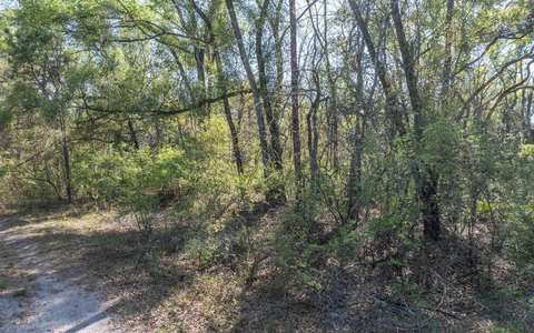 Wooded Residential Lot in Live Oak