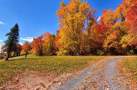 Lots/Land, Fairmont, WV