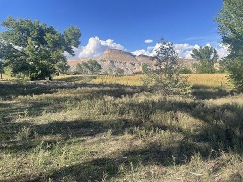 Land, Clifton, CO