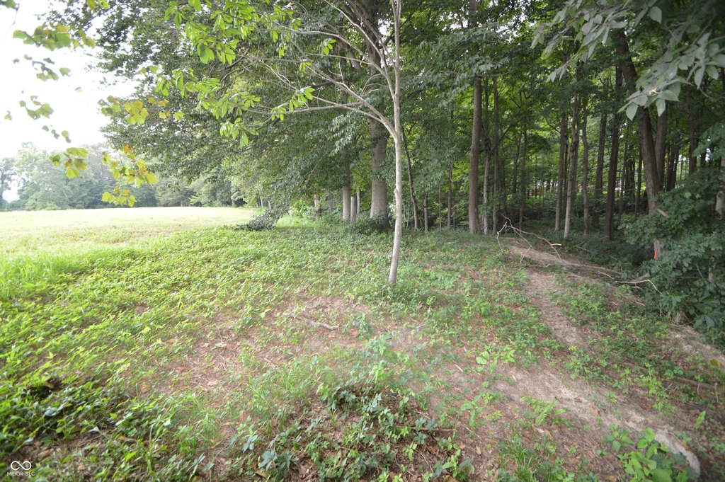 Picture 16