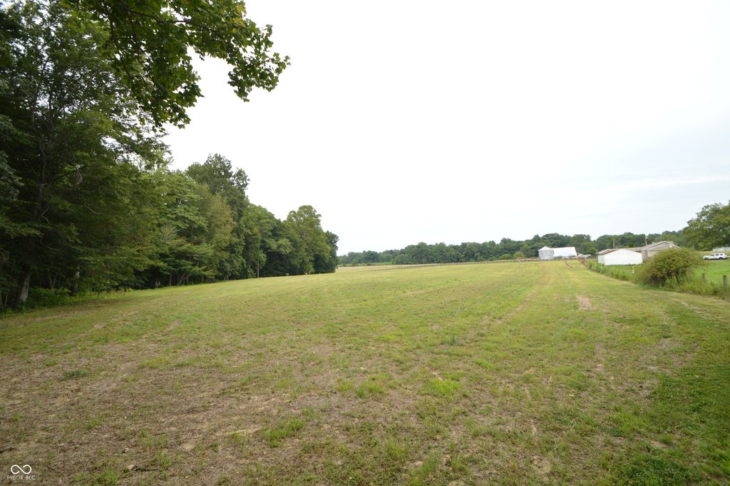 Picture 17