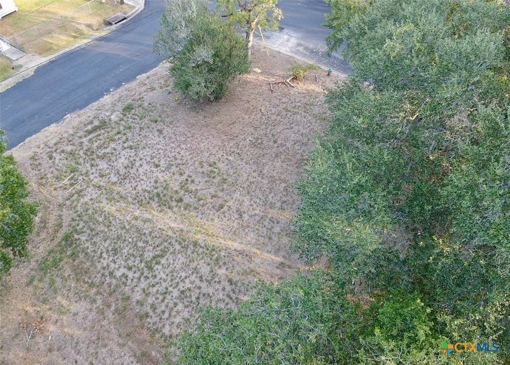 Picture 5