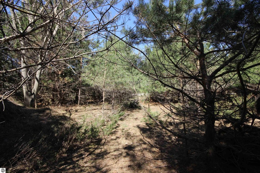 Picture 10