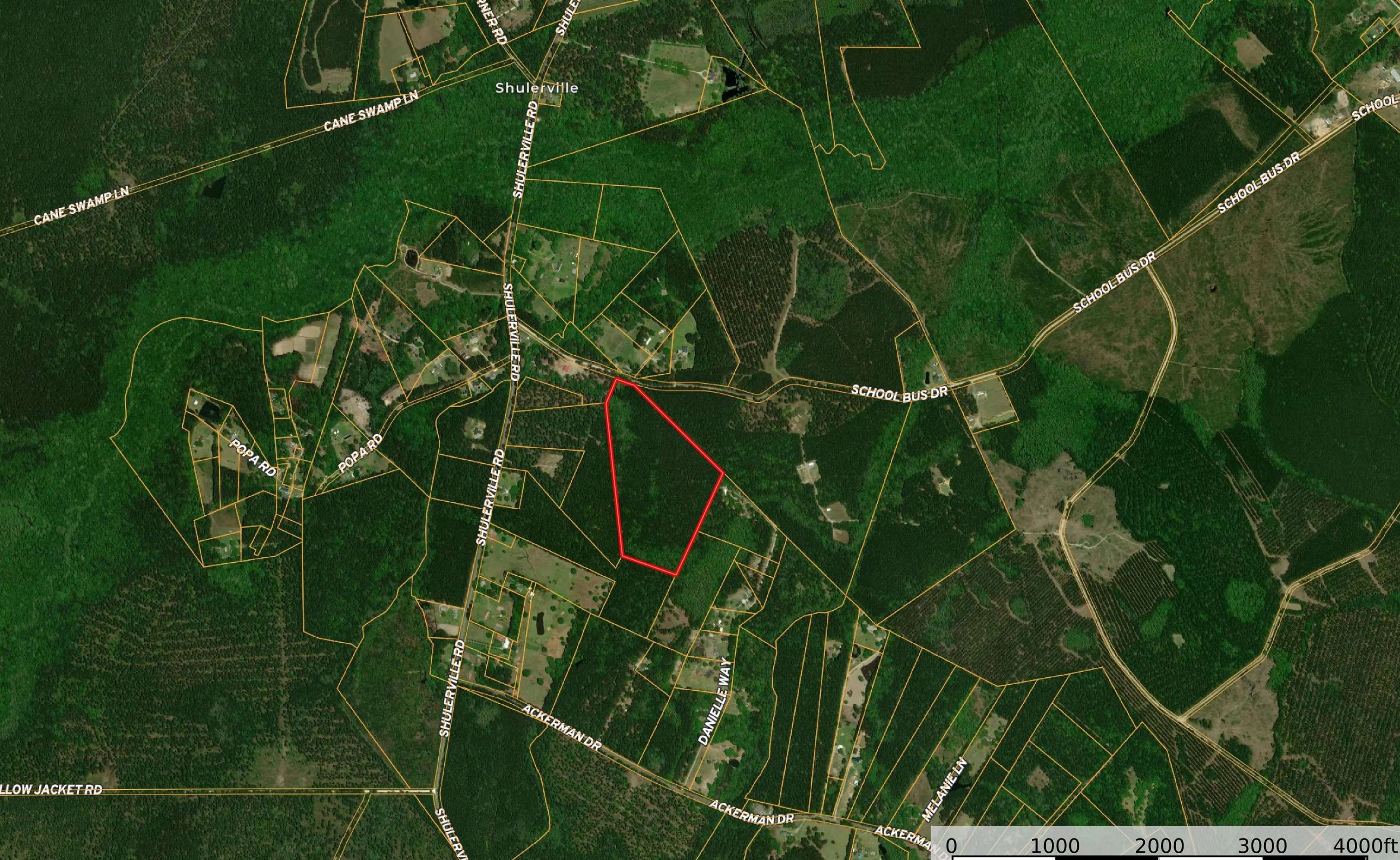 Coastal Lowcountry Sporting Property