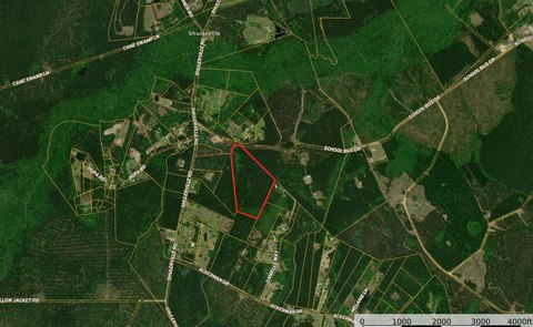 Coastal Lowcountry Sporting Property