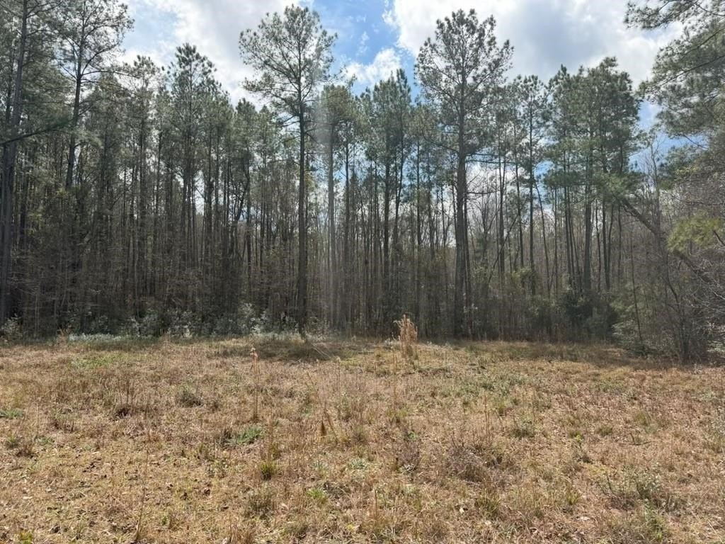 Picture 4