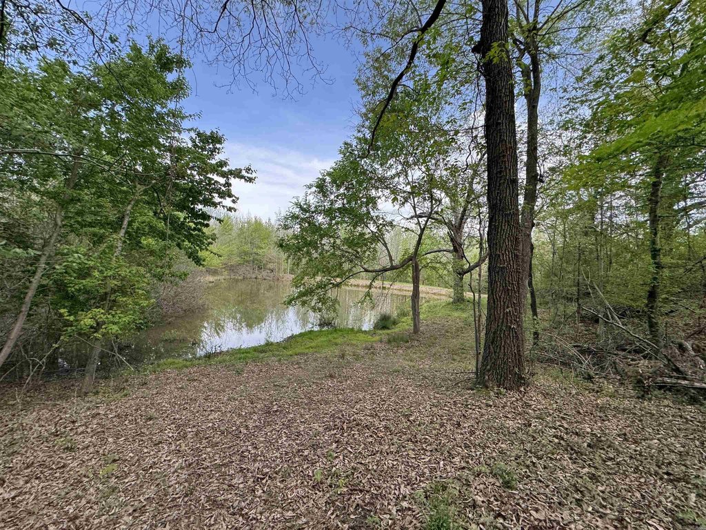 Picture 36