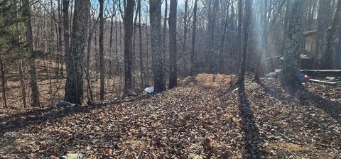 Unrestricted Lot Near Morgan Creek