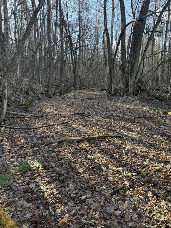Picture 22