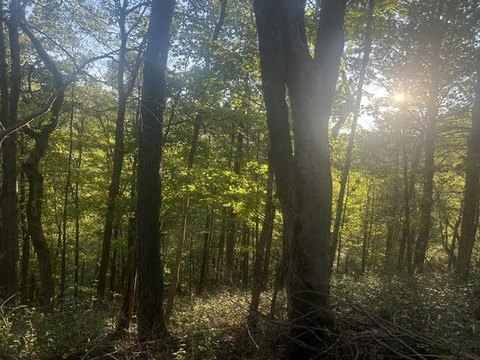 Residential Land in Gated Community