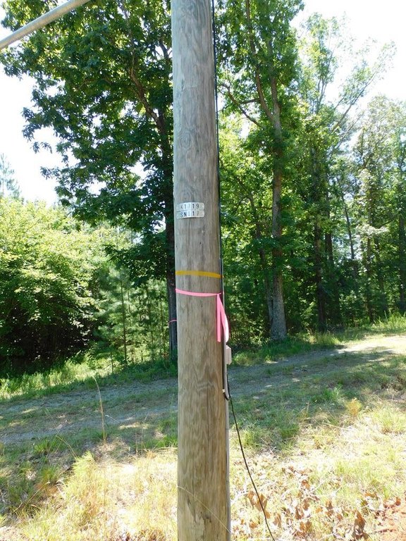 Picture 32