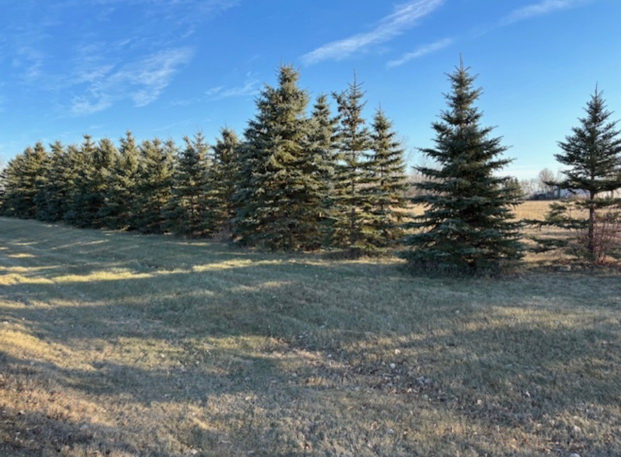 Land in Hilltop Addition
