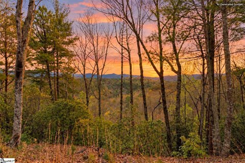 Lots/Land, Sunset, SC