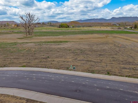 LAND, Montrose, CO