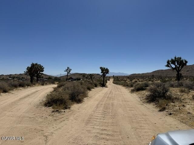 Picture 4