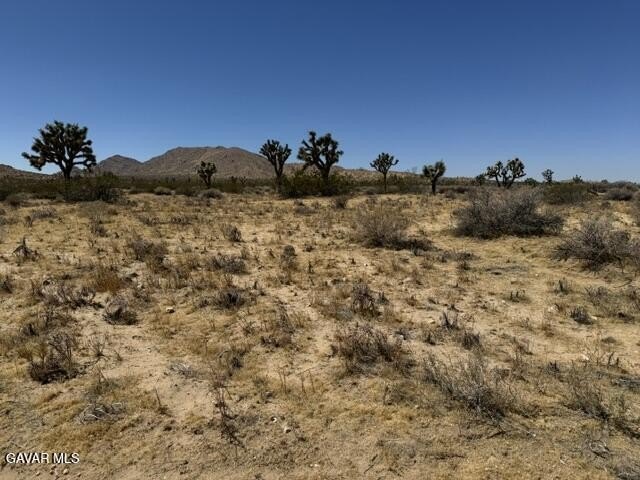 Picture 5