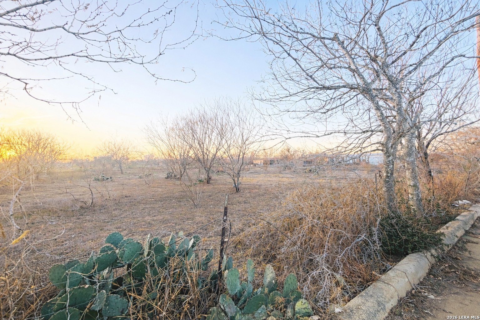 Pleasanton Acre for Sale