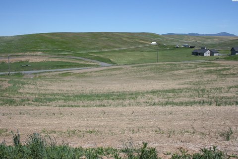 Land Near Pullman and Moscow