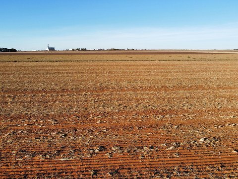 Land, Ropesville, TX